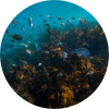 pollution monitoring image
